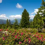 Rehfugium By Alps * Lachtal