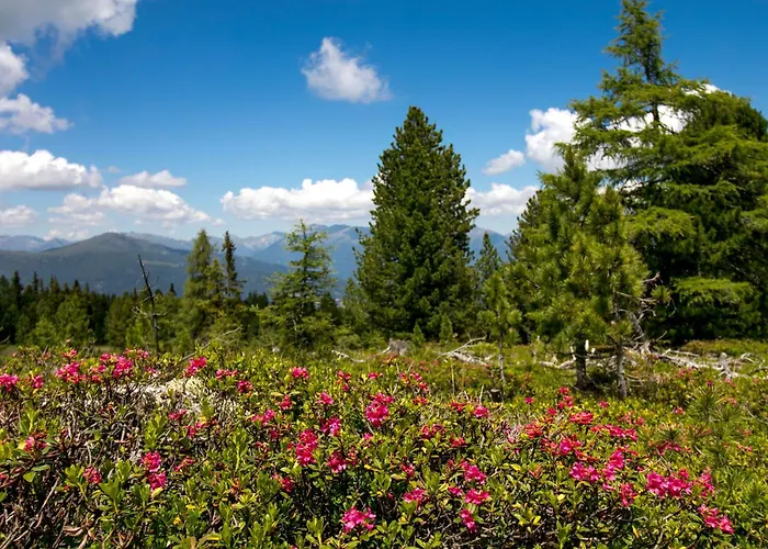 Rehfugium By Alps * 拉赫陶