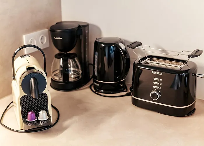 Rehfugium By Alps 度假居 *